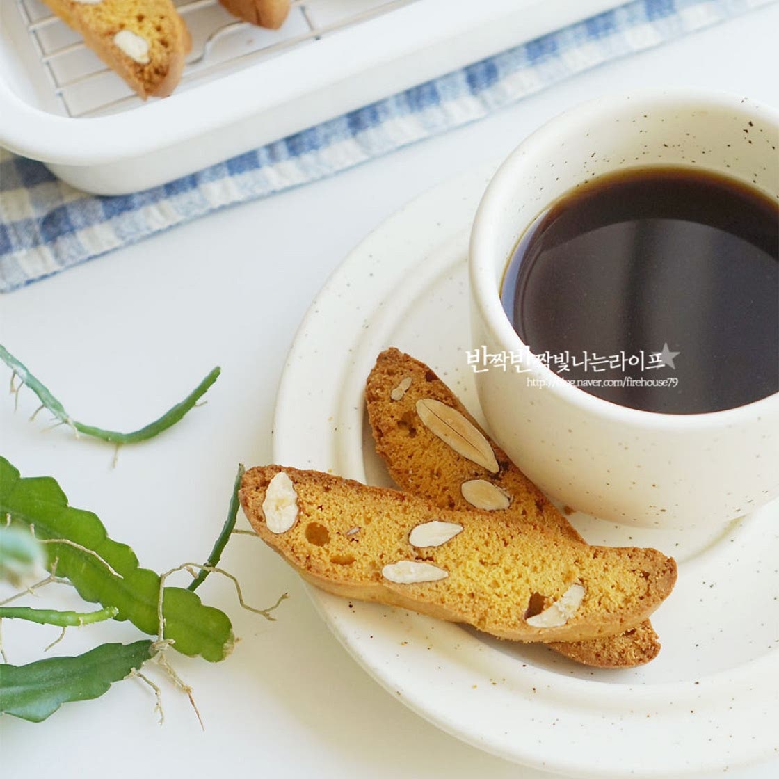 아몬드 비스코티 만들기 고소한 쿠키만들기
