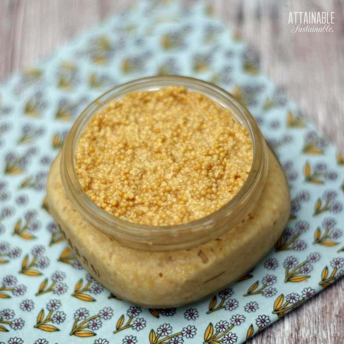 Gourmet Spicy Mustard Recipe
