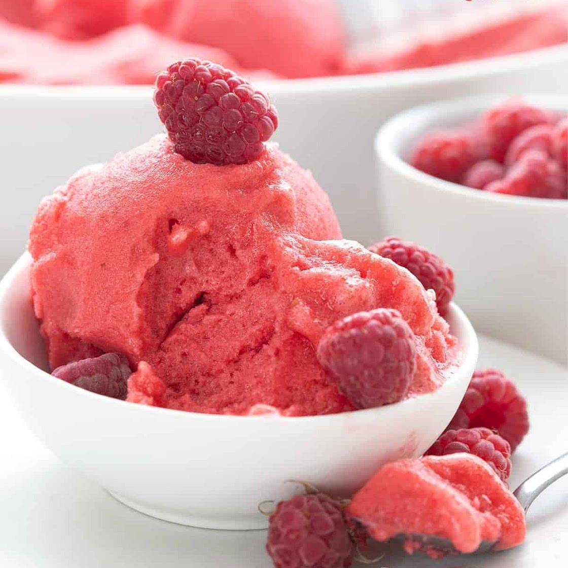 Sugar Free Sorbet Recipe