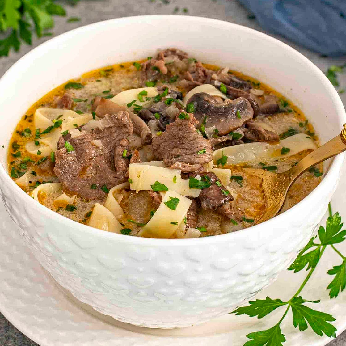 Beef Stroganoff Soup