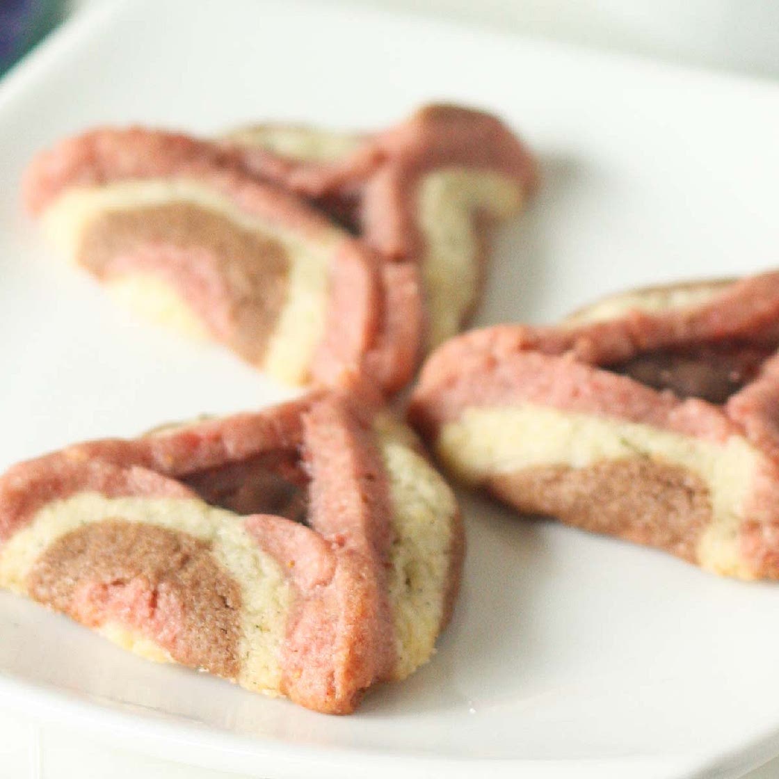 Neapolitan Zebra Hamentashen