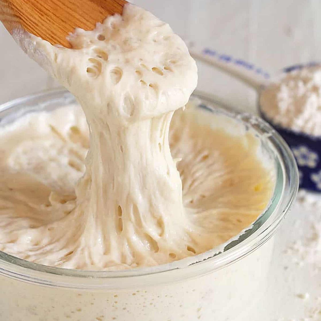 Sourdough Starter Recipe
