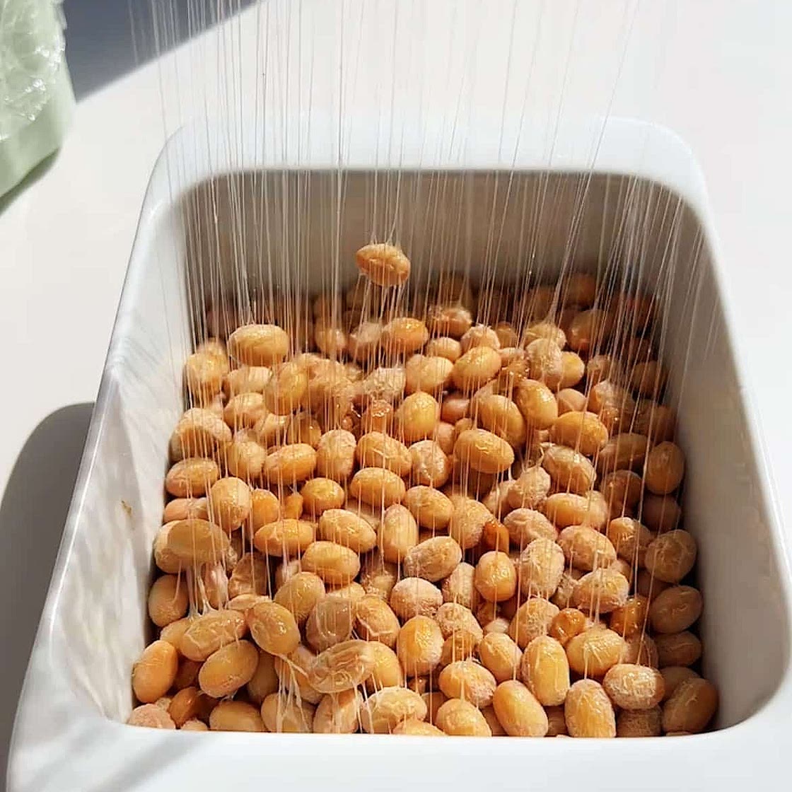 How to Make Natto (Recipes with and without a starter)