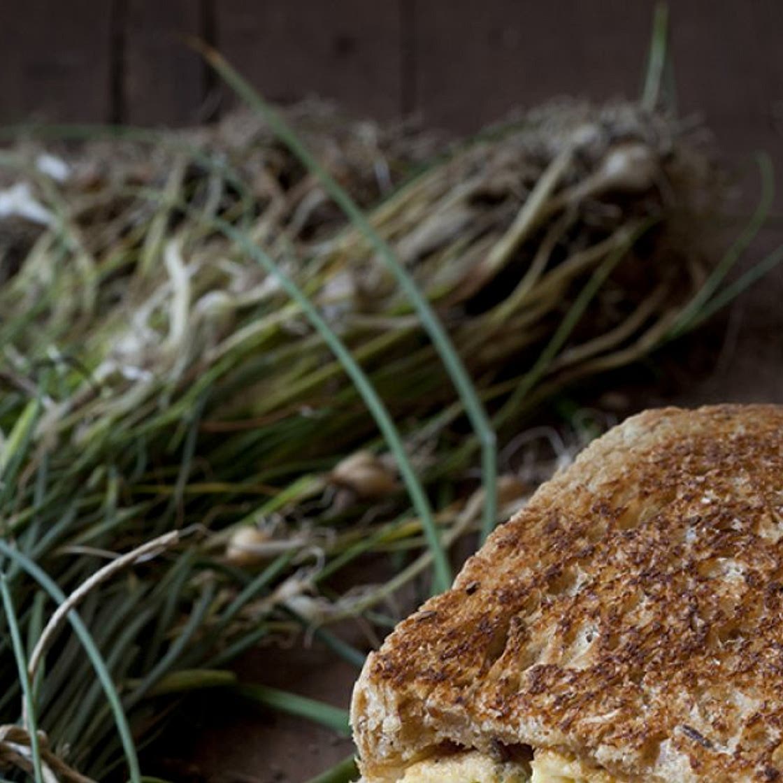 Croque au chèvre, miel et noix caramélisées