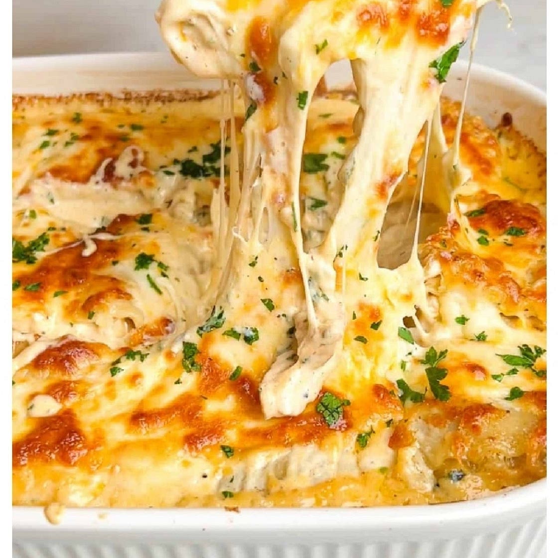 Chicken Alfredo lasagna