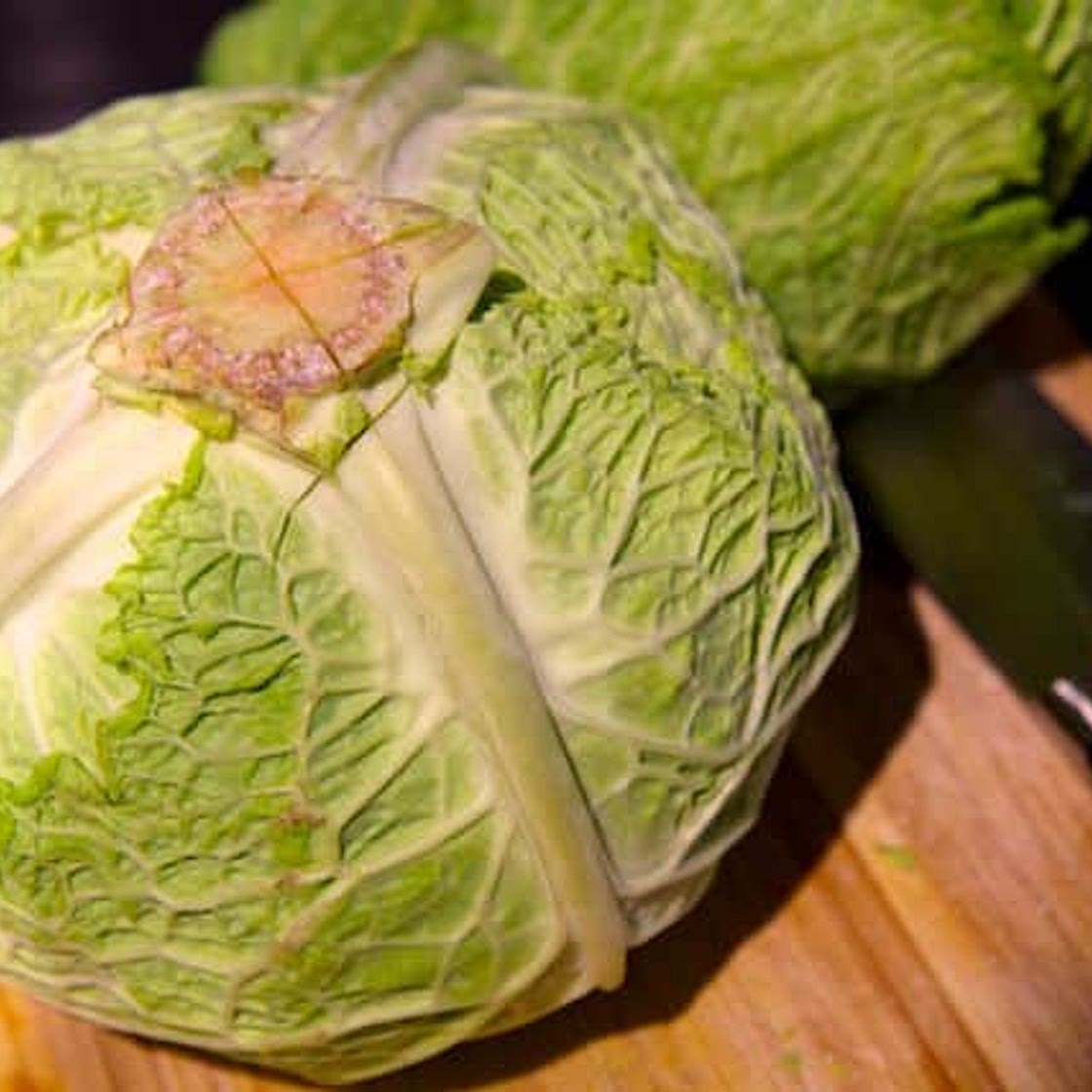 Low Carb Turkey Cabbage Rolls