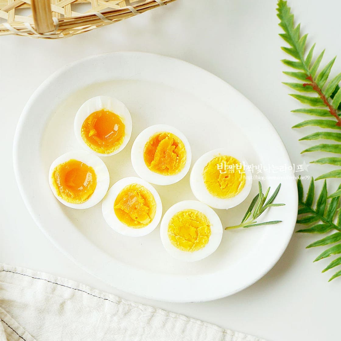 계란 삶는법 소금 완숙 반숙 계란 삶는 시간