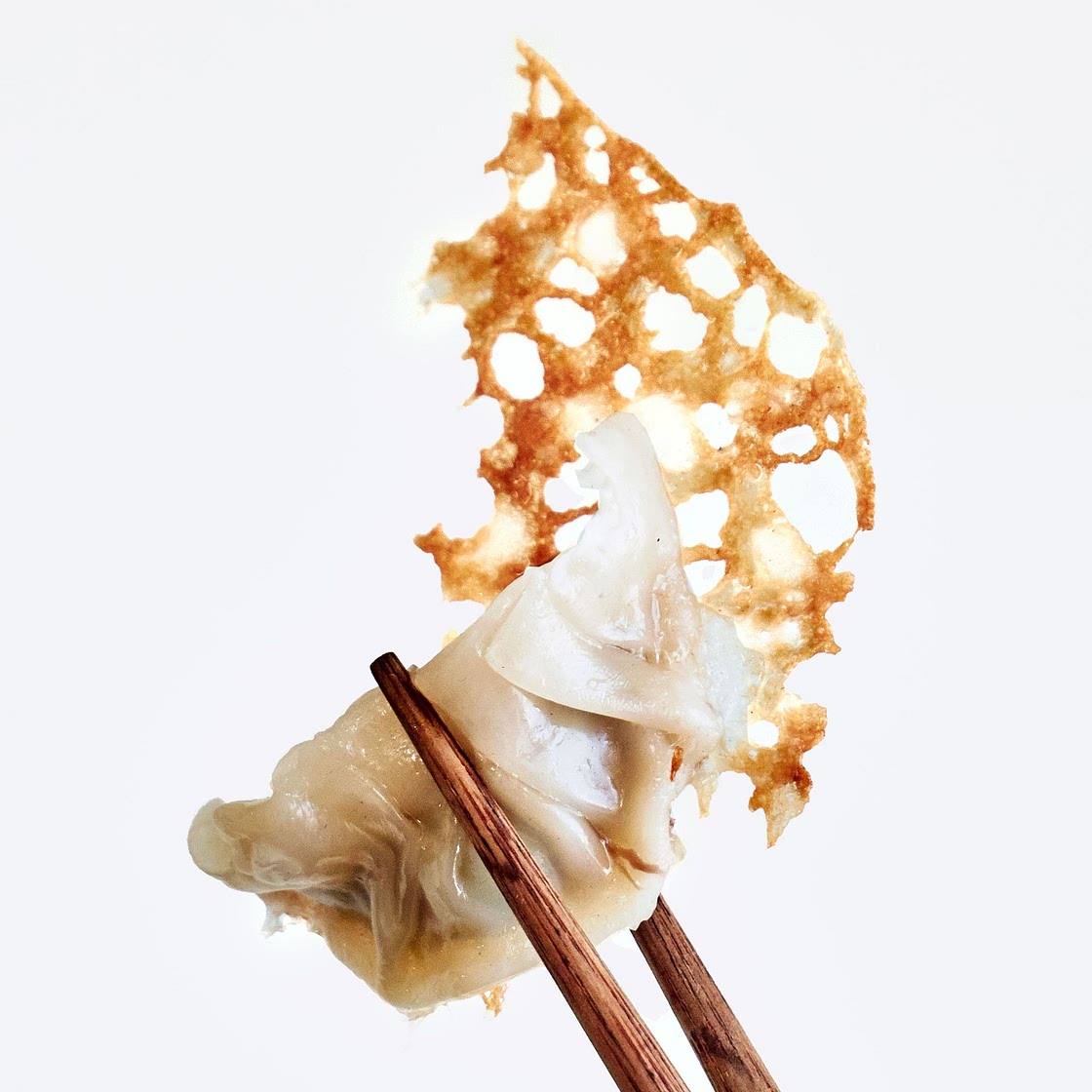 Pork and Scallion Dumplings With Crispy Skirt