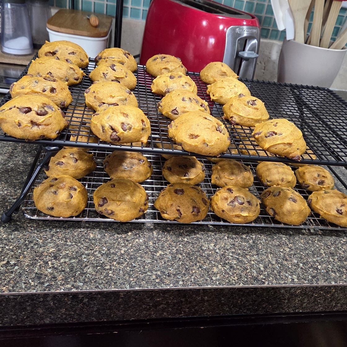 Pumpkin Chocolate Chip Cookies
