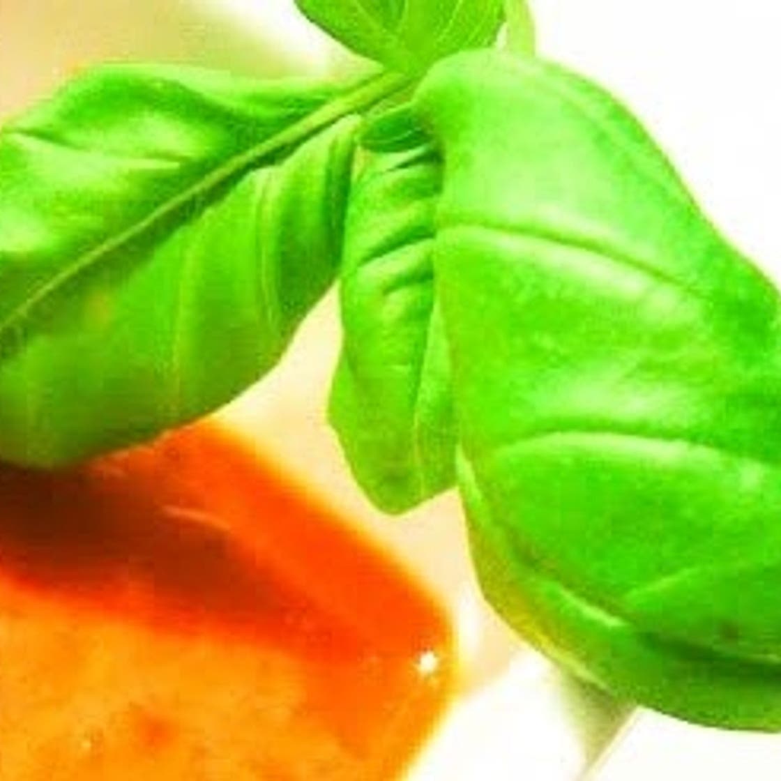 Four Tomato & Red Pepper Soup