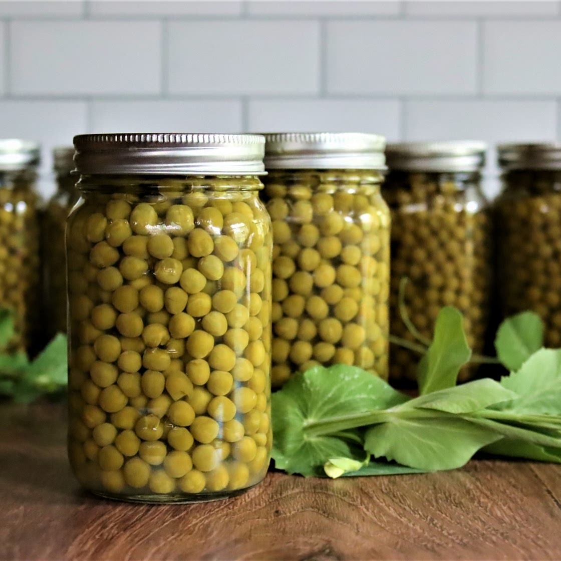 Canning Peas