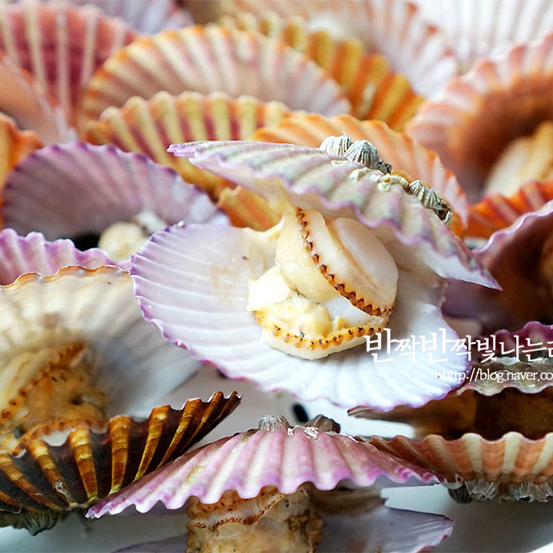 가리비 찌는법 익히는 팁만 알면 쉬워요