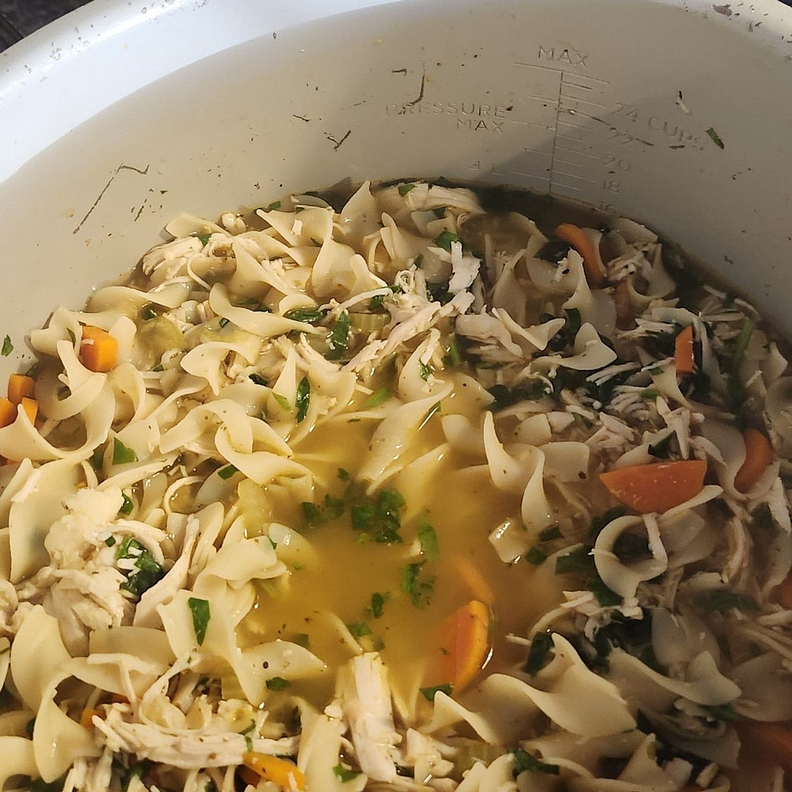 Slow Cooker Chicken Noodle Soup