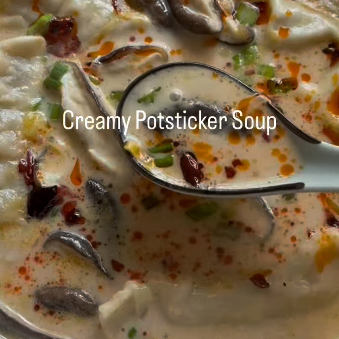 Chicken Pot Sticker Soup