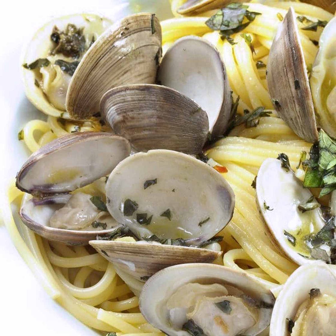 Linguine with Clams in a white sauce