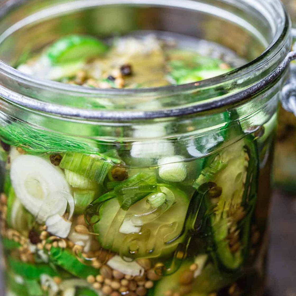Quick Pickled Cucumber Recipe