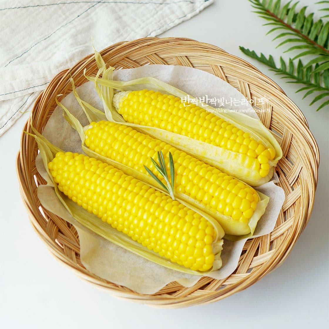 초당옥수수 찜기 찌는법 초당옥수수 찌기 찌는시간