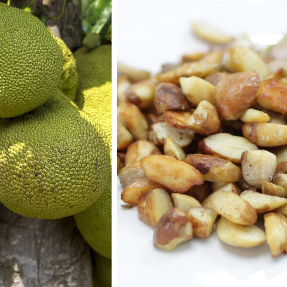 How to Cook Jackfruit Seeds