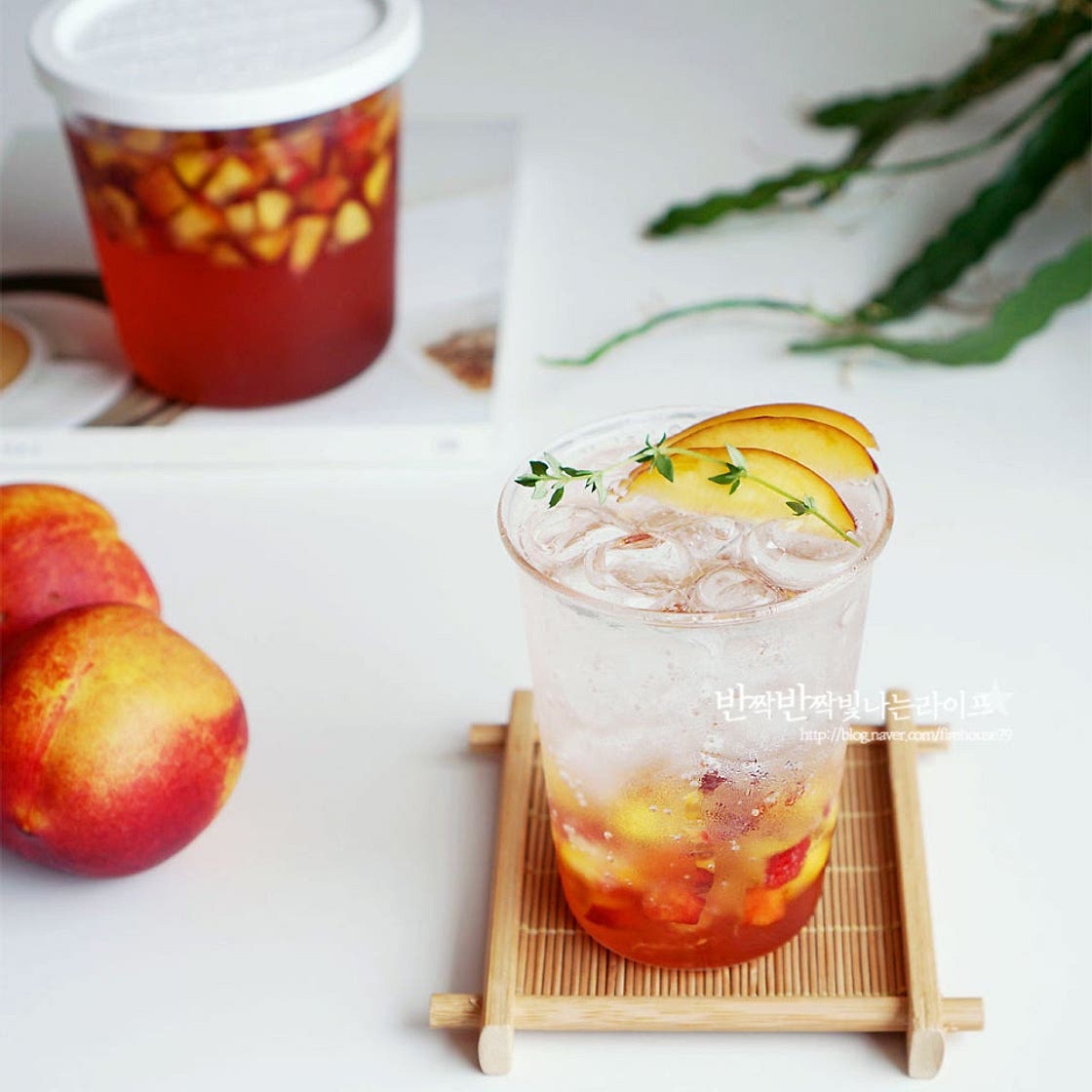 복숭아청 만들기 천도복숭아청 달콤한 복숭아 에이드 자르는법 팁까지