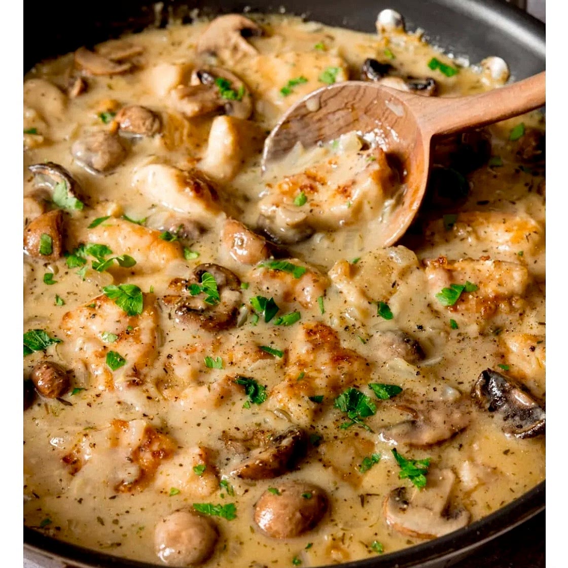 Minced Chicken Mushroom Sauce