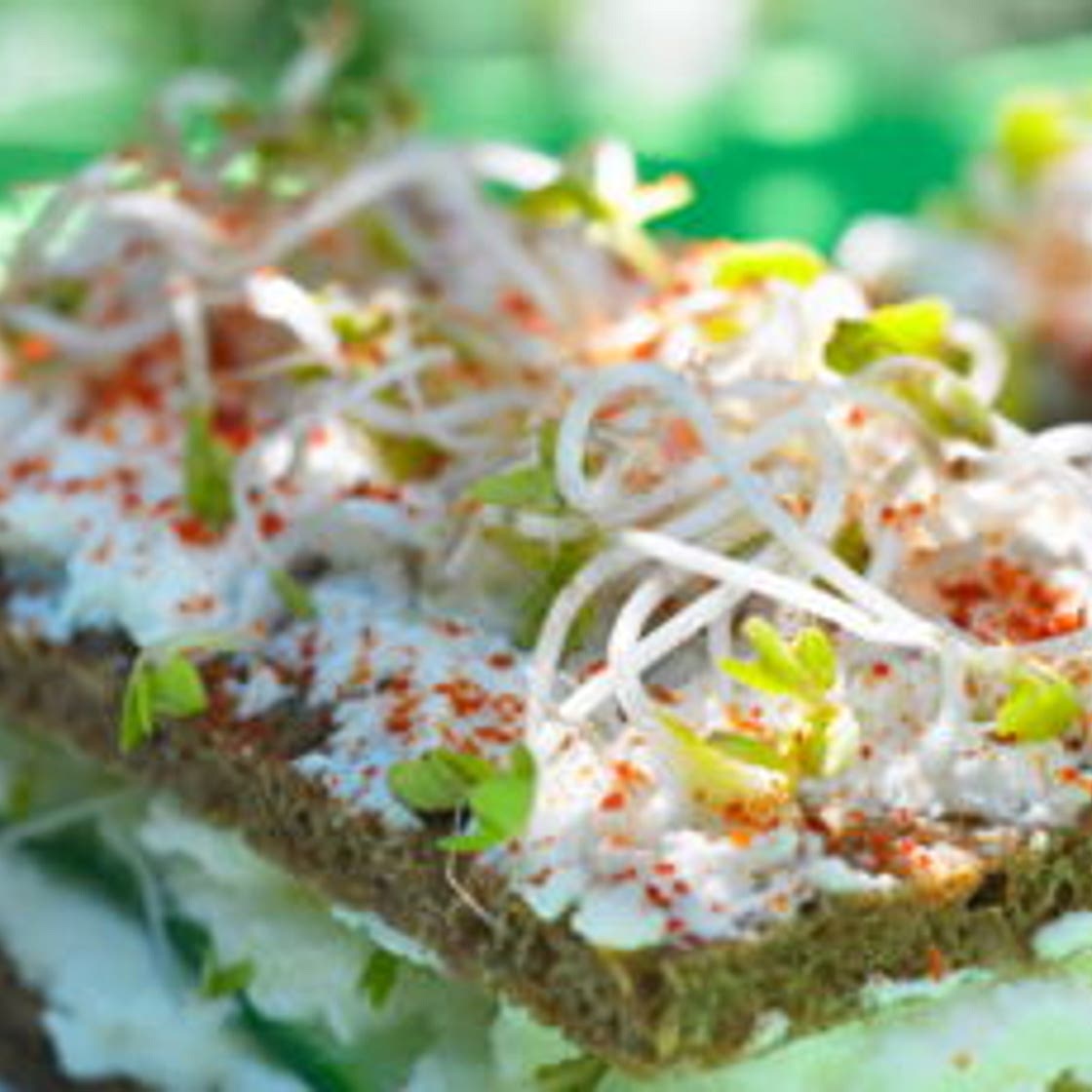 Sandwich végétarien