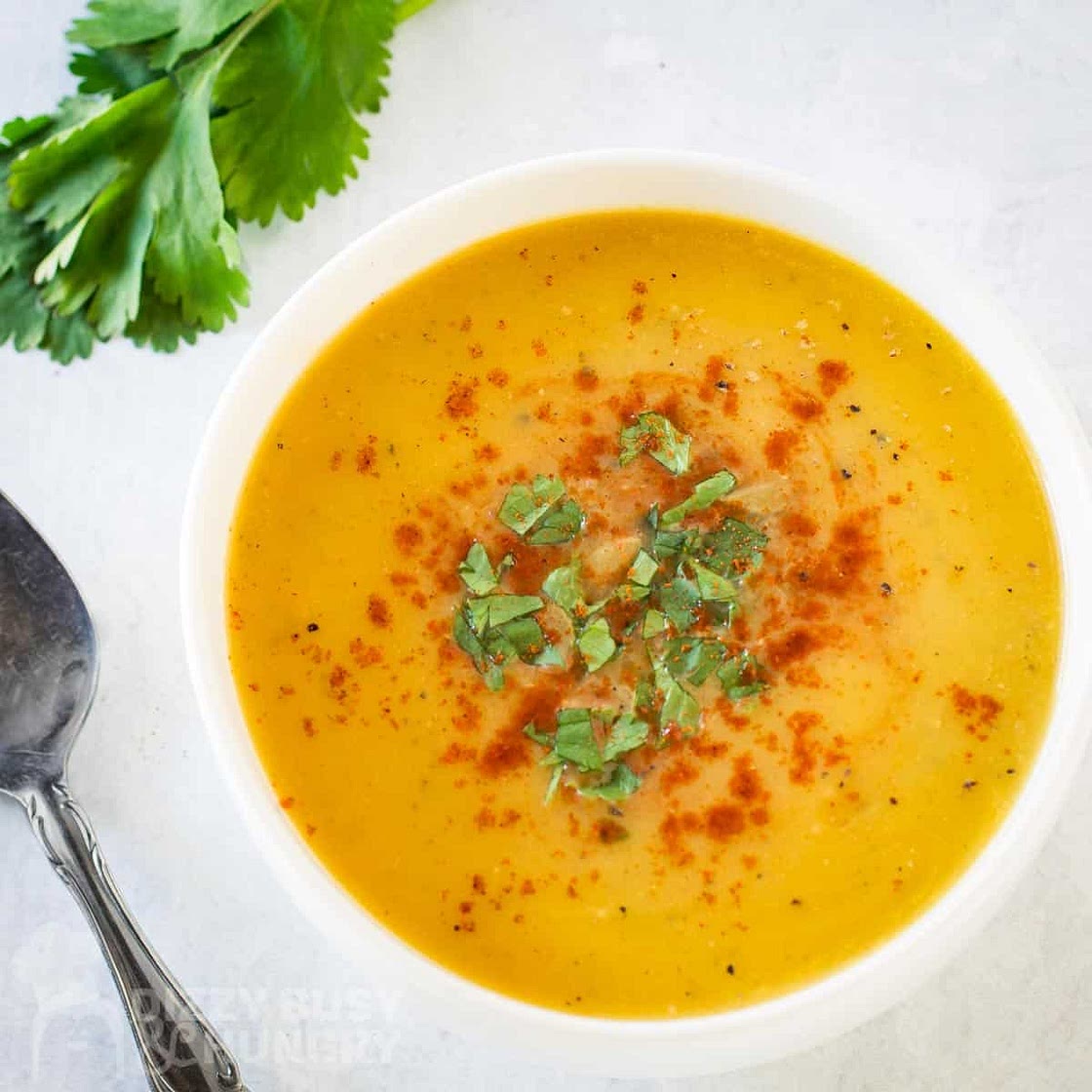 Butternut Squash Soup