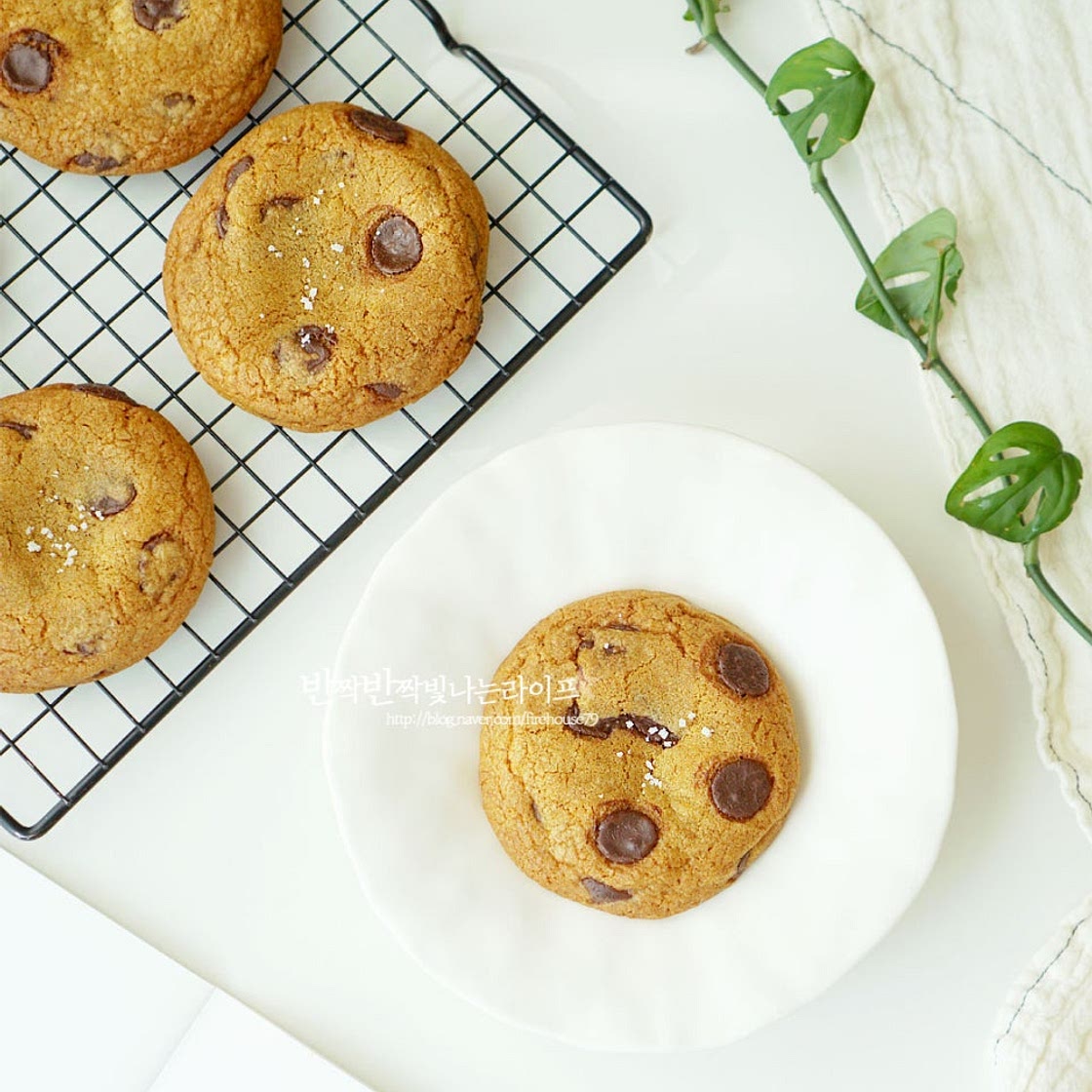 초코칩쿠키 레시피 초코칩 쿠키만들기 재료 쿠키 반죽 만드는법
