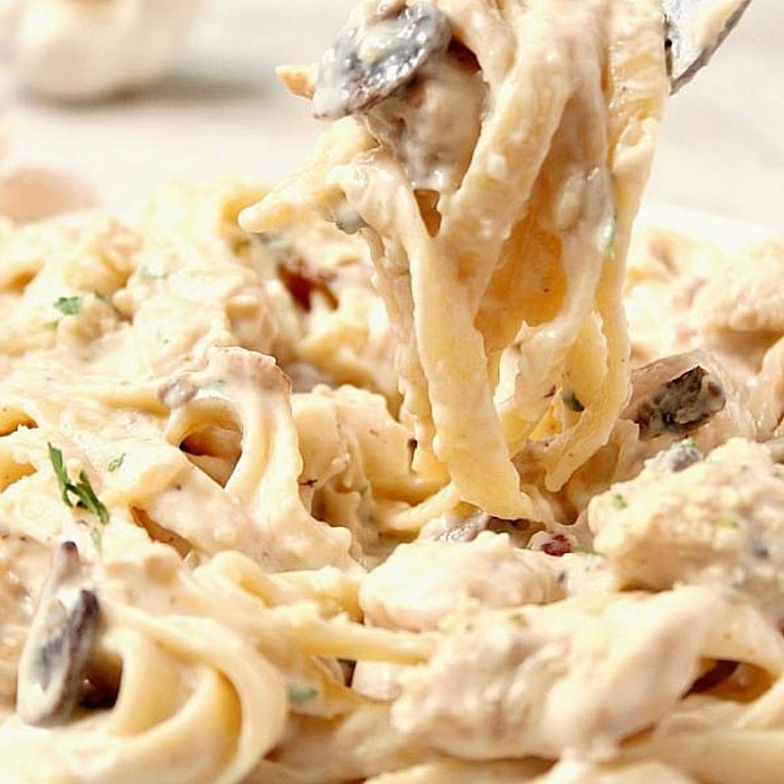 Bacon Mushroom Chicken Alfredo