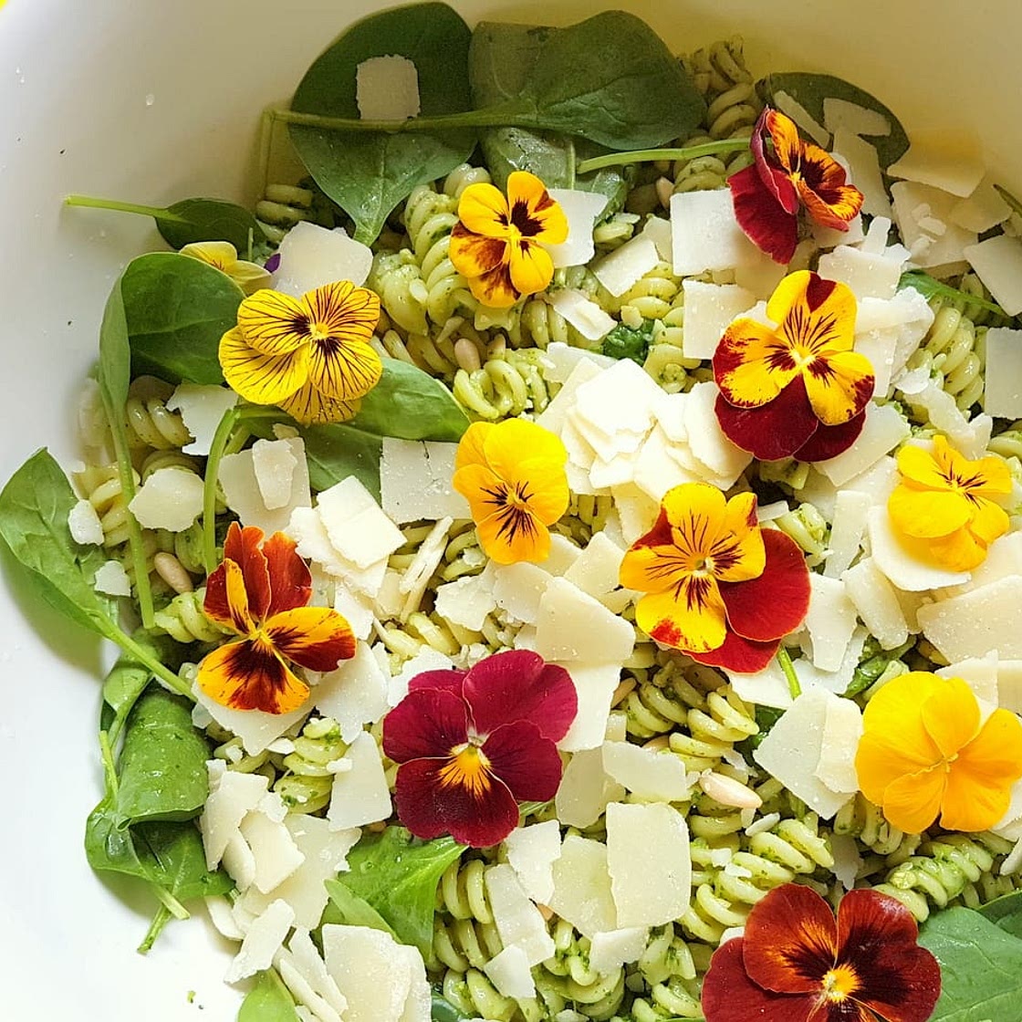 Green pasta salad with edible flowers