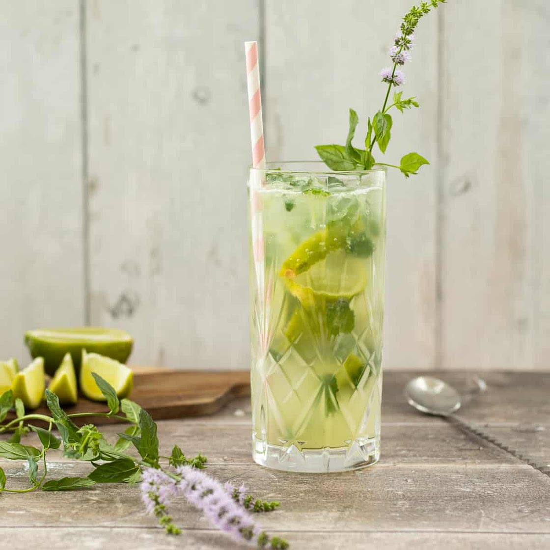 Healthy Mojito Mocktail