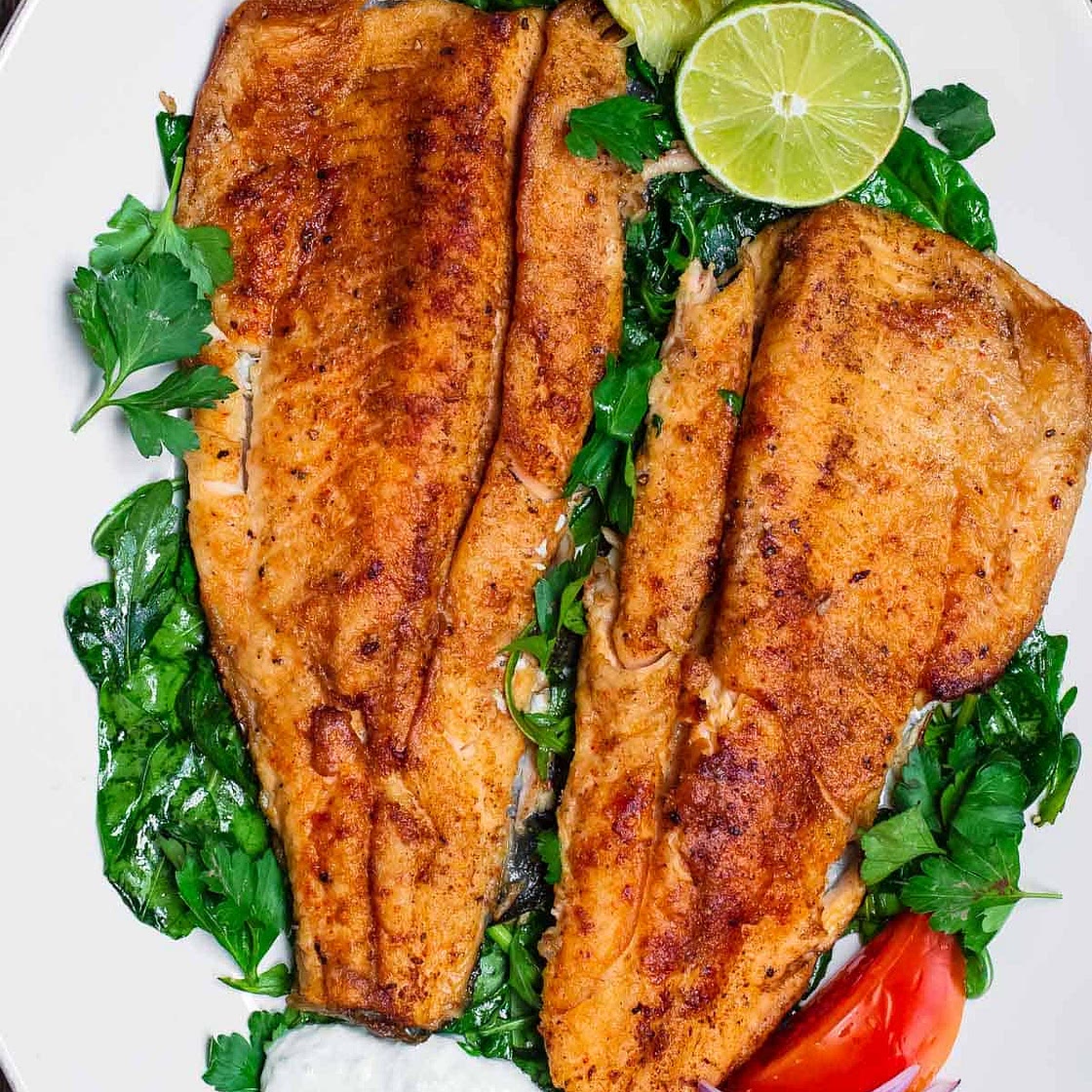 Mediterranean Pan Seared Trout Recipe with Tzatziki