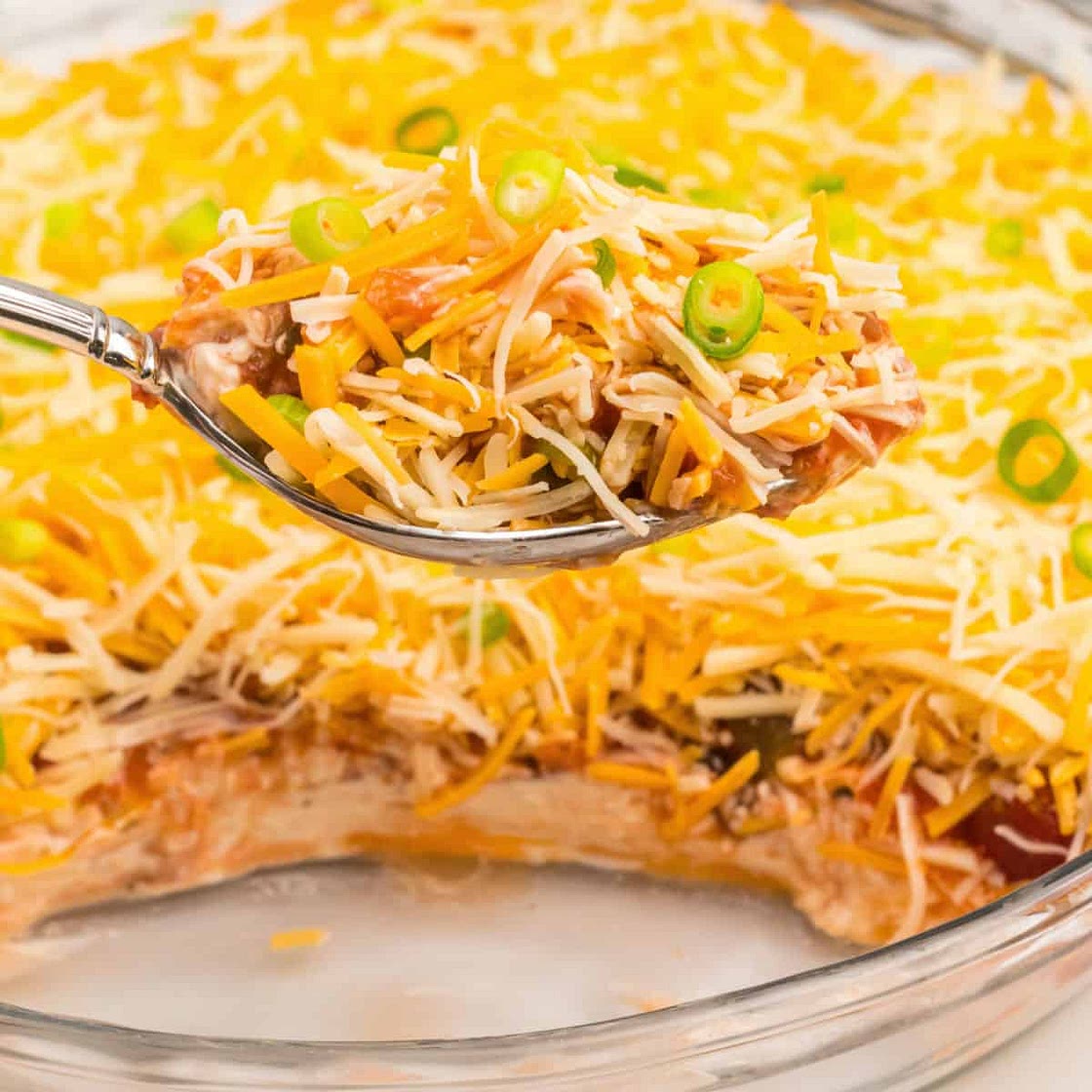Layered Nacho Dip
