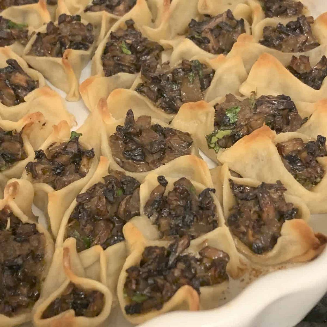 Vegetarian Mushroom Manti
