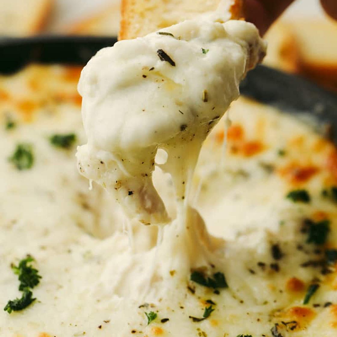 Creamy Chicken Alfredo Dip
