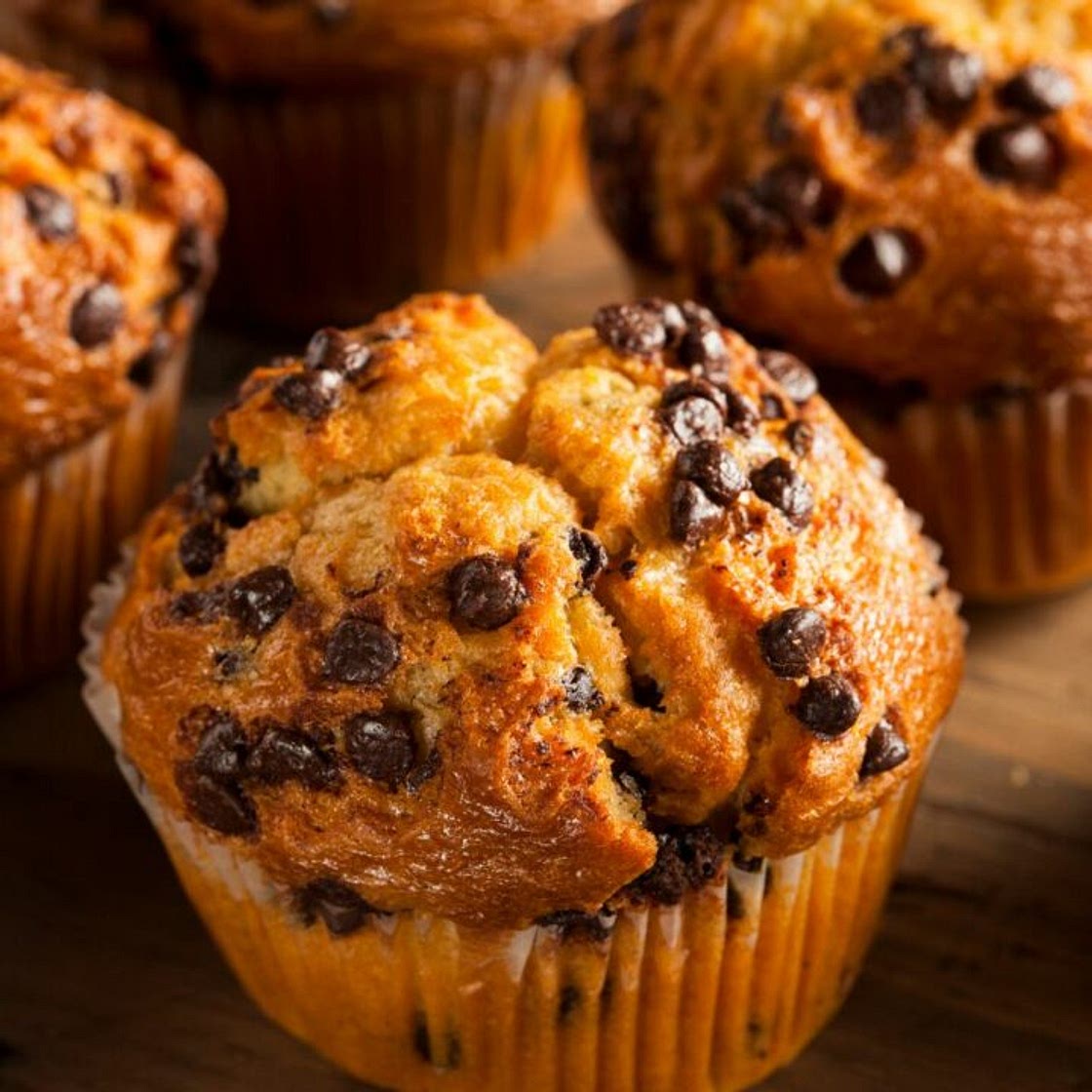 Chocolate Peanut Butter Muffins Recipe