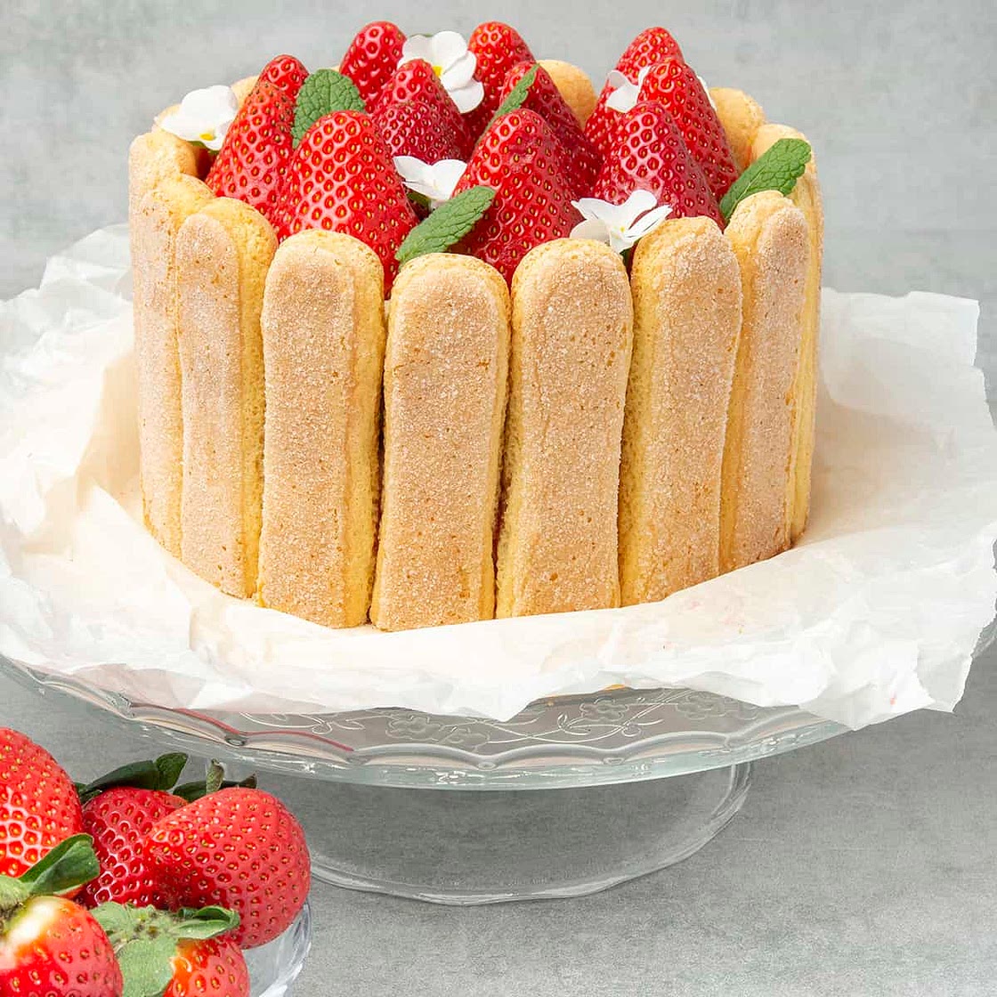 Strawberry Charlotte cake (VIDEO)