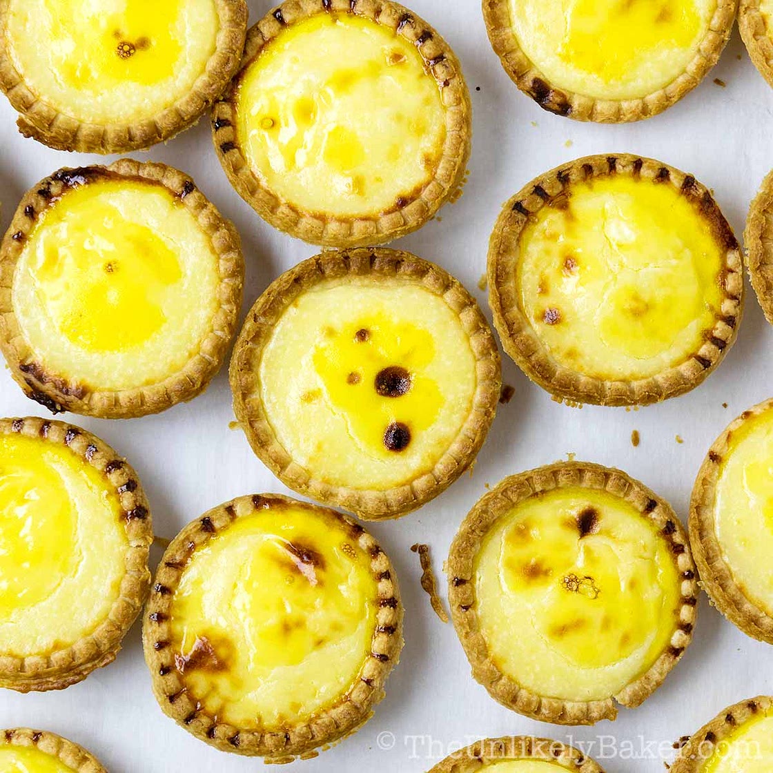 Hokkaido Baked Cheese Tarts