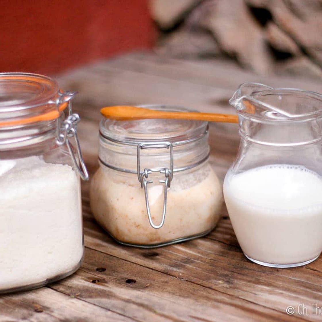 Homemade Coconut Milk (and Flour)