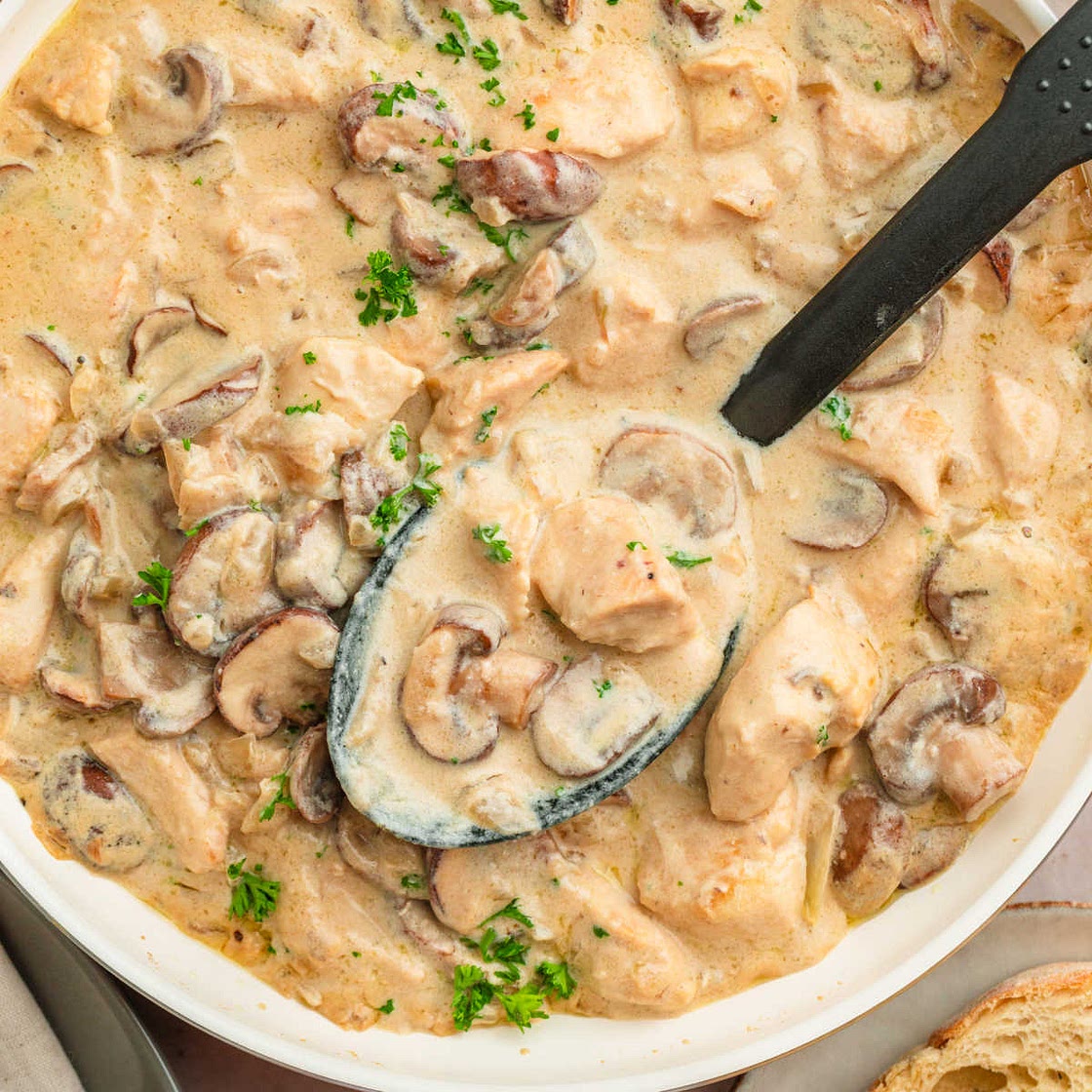 Cajun Chicken Stroganoff