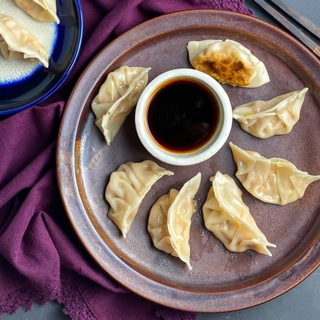 Low FODMAP Pork Dumplings