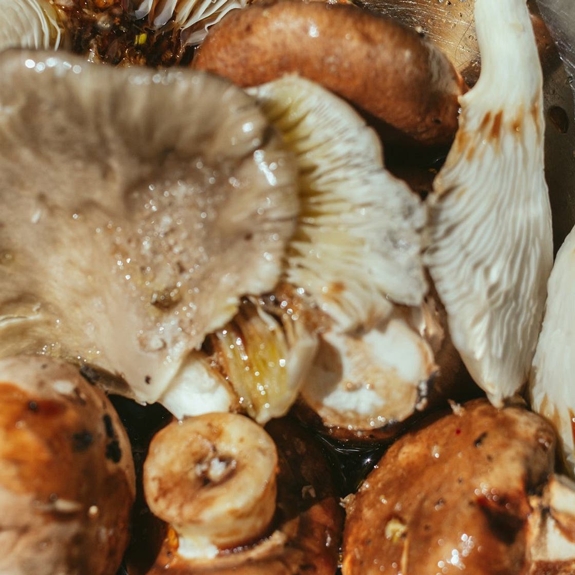 3 fast recipes to cook mushrooms