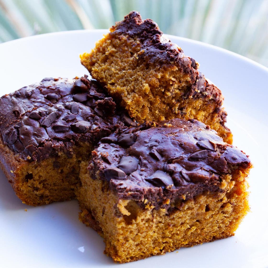 Chocolate Swirled Pumpkin Bars