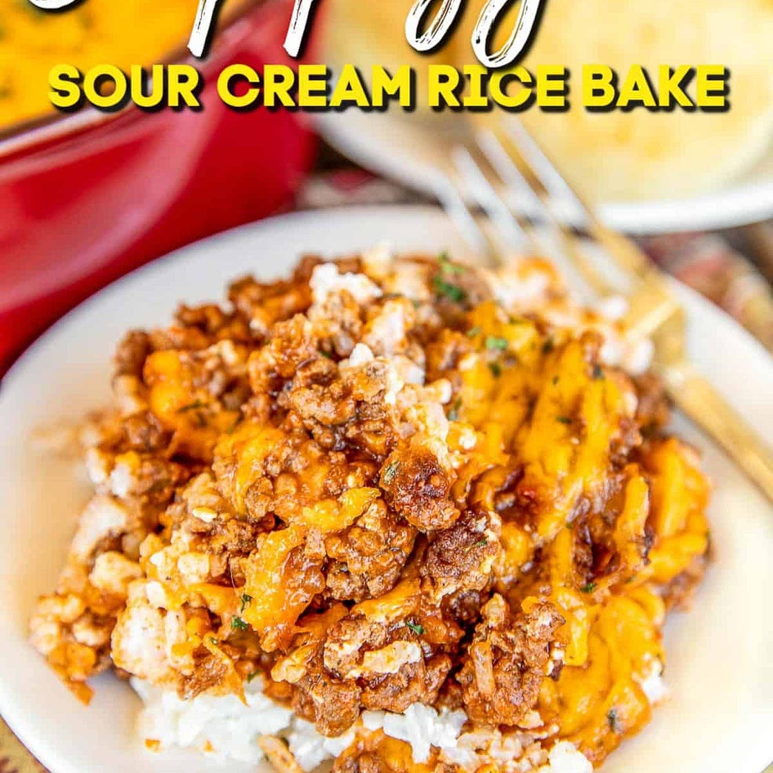 Sloppy Joe Sour Cream Rice Bake