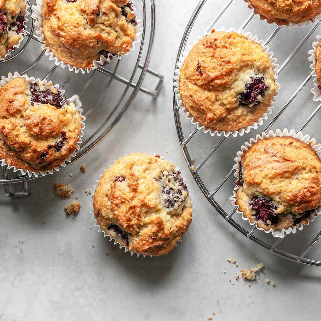Blackberry Muffins