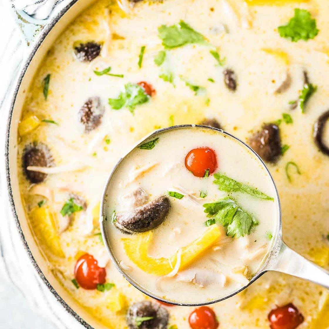 Thai Coconut Turkey Soup