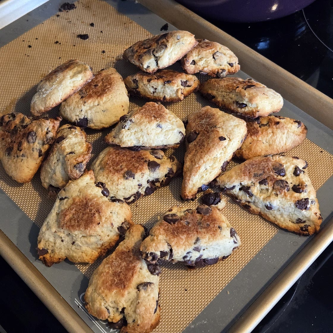 Chocolate Chip Sourdough Scones Recipe