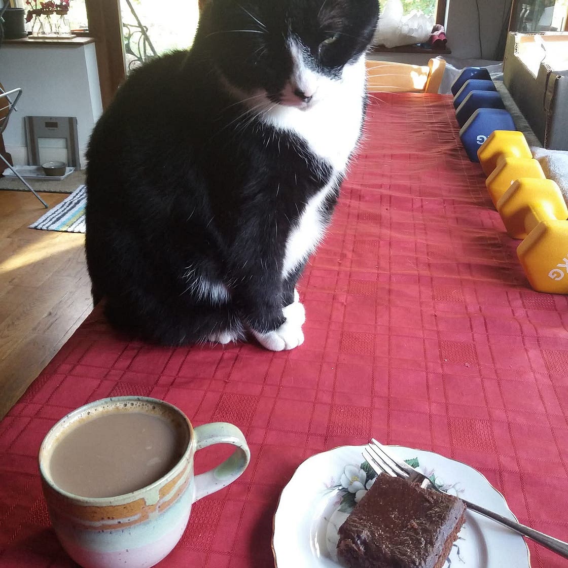 Extremely squidgy black bean chocolate brownies