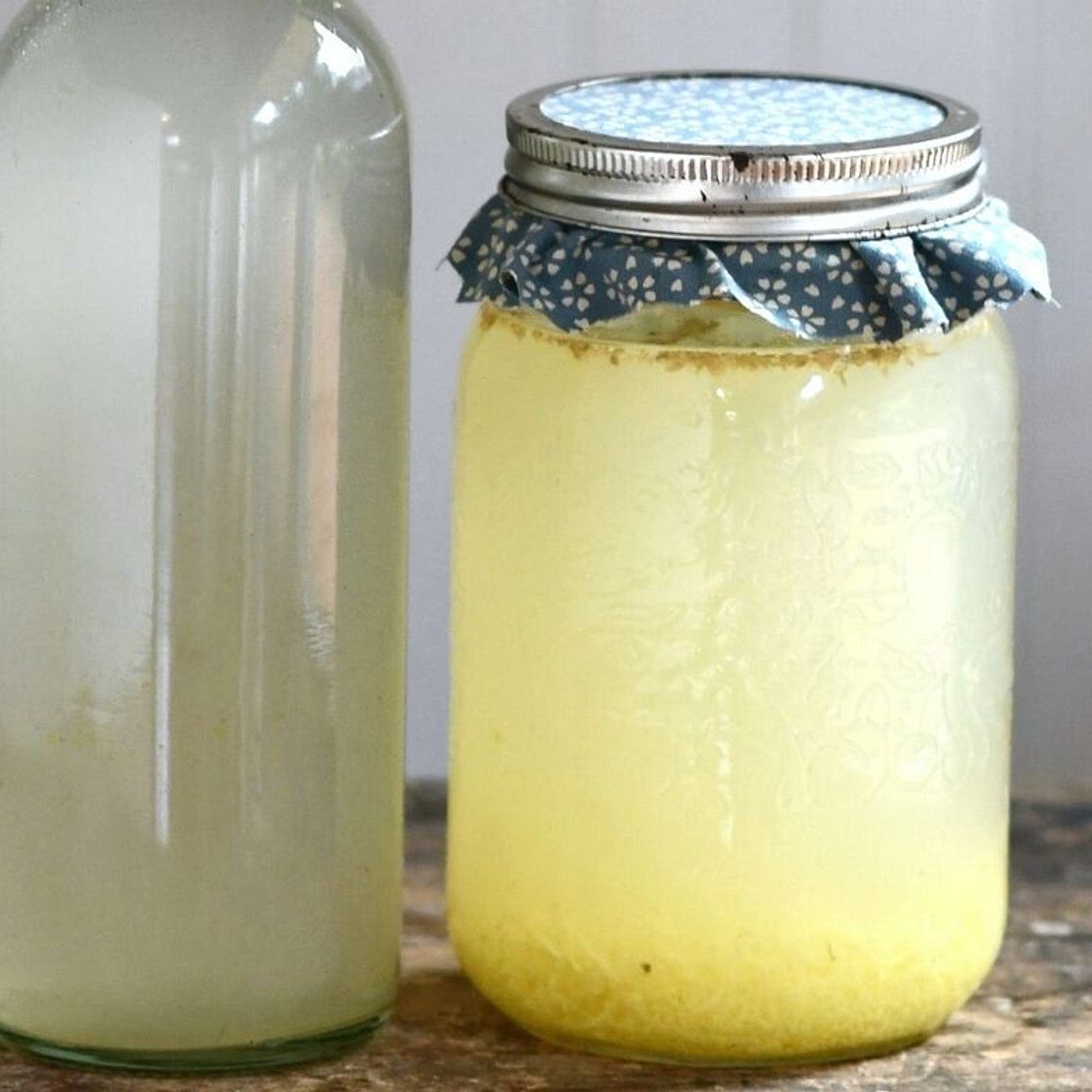 Homemade Ginger Beer