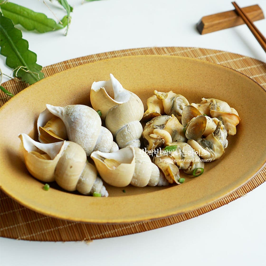 생 골뱅이 삶는법 백골뱅이 삶는법