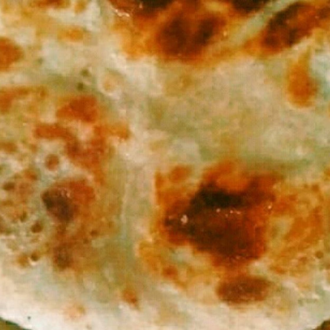 कश्मीरी रोटी (kashmiri roti recipe in Hindi)